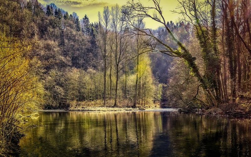 Quiet Reflections